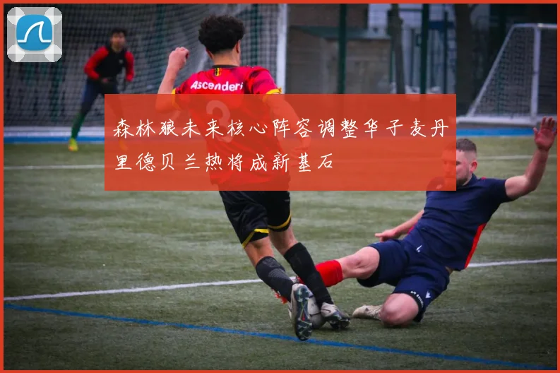 森林狼未来核心阵容调整华子麦丹里德贝兰热将成新基石
